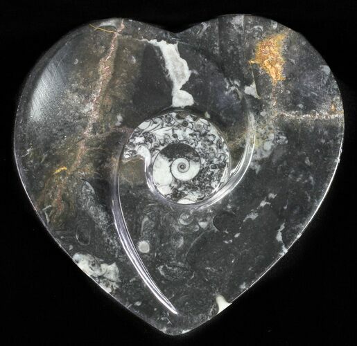 Heart Shaped Fossil Goniatite Dish #61276